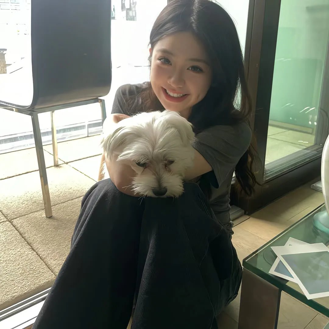 愤怒小队公务员与7个欺诈师